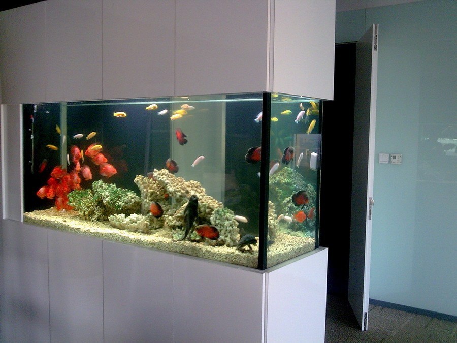 武汉大型鱼缸一般应用在哪些场所中