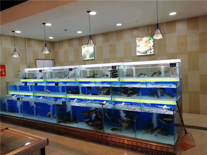 武汉超市鱼缸
